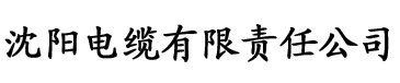 芭乐视频播放器黄电缆厂logo